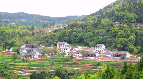 乡风淳，日子美，柏佛春意浓.JPG