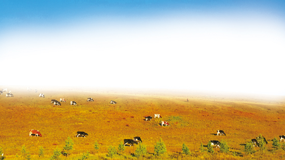 内蒙古天然草场辽阔而宽广，总面积位居中国五大草原之首，是中国重要的畜牧业生产基地。著名的三河马、三河牛、草原红牛、乌珠穆沁肥尾羊、鄂尔多斯细毛羊等优良畜种闻名遐迩。图为内蒙古呼伦贝尔大草原.jpg