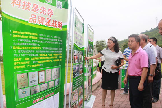 欧阳晓玲（左一）向刘宇（左二）介绍广安蜜梨发展情况.JPG