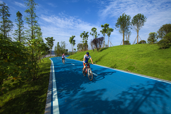 南溪区打造景观自行车道.jpg