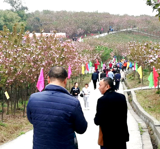 3月23日,在广安市岳池县白庙镇菊花村歌舞在山村