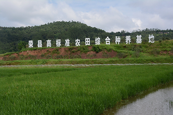位于长山镇的荣县高标准农场综合种养基地.JPG