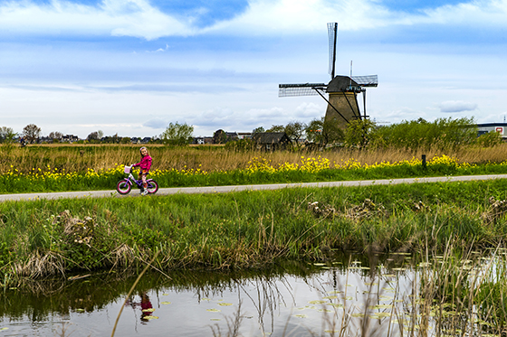 荷兰闻名世界的风车村（资料图）.jpg