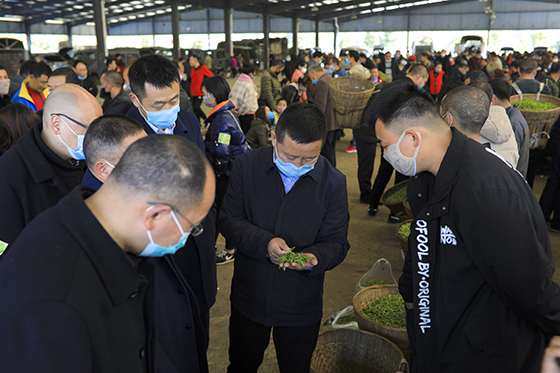 行领导深入名山茶叶市场调研.jpg