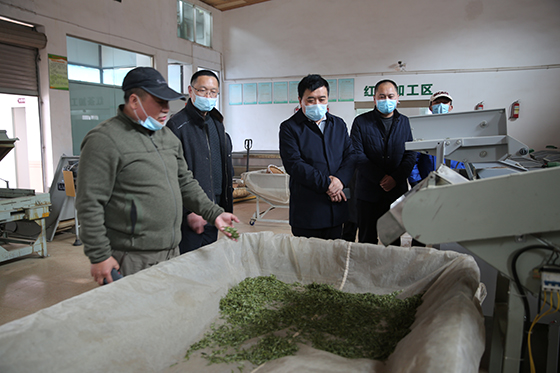 四川省联社广元办事处党委书记李祥明一行走访调研米仓山茶业集团.JPG