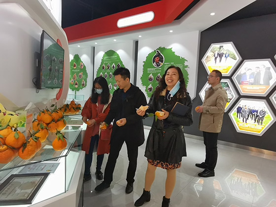 丹橙现代果业有限公司副总经理黄翔邀请记者品尝丹棱培育出来的桔橙新品种.jpg