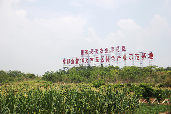 位于平水桥村的丘区特色产业示范基地 周淼葭 摄.JPG