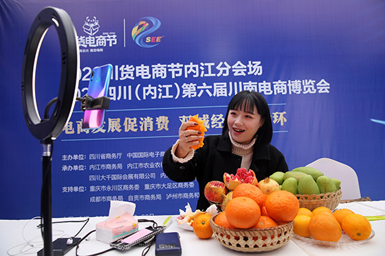 2020年11月27日，网红主播在第六届川南电商博览会上进行线上直播带货  兰自涛 摄.jpg