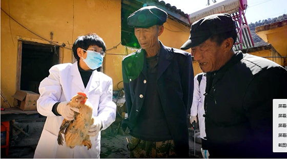 (3)喜德县农业农村局动物疫控中心主任、高级兽医师拉马甲甲（左一）.png