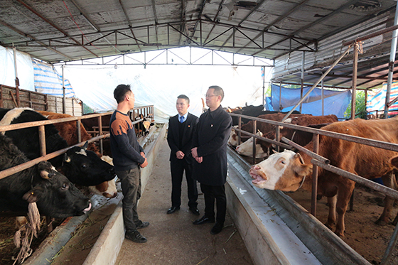 (5)银行工作人员向镇西镇肉牛养殖户了解情况.JPG