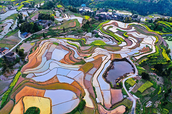 (3)达州市通川区山水田园风光  九哥  摄.jpg