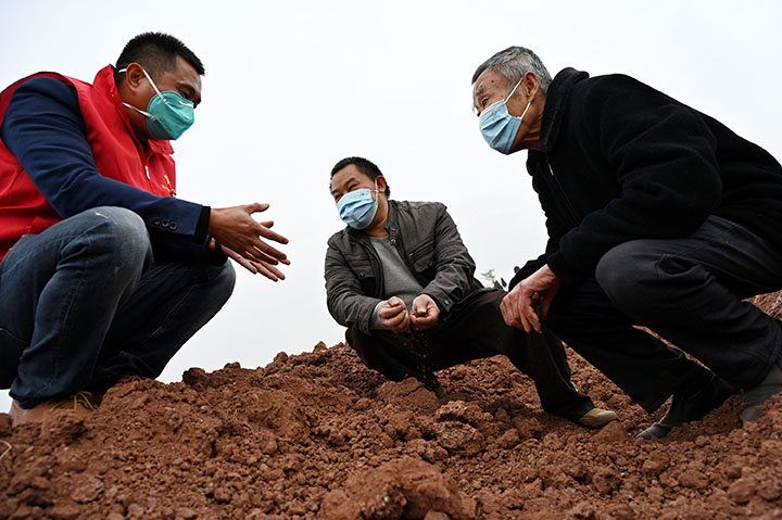 3)11月29日，内江市东兴区郭北镇放生桥村，当地干部群众正在查看土地整理后的土壤.jpg