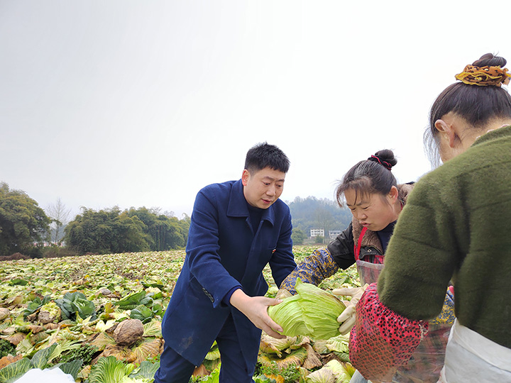 大竹农商银行员工帮助销售蔬菜2.jpg