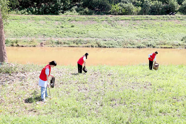 图片3 8月14日，四川省广安市广安区大龙镇环保志愿者在捡拾蒙溪河边垃圾，用行动维护水域环境。.png