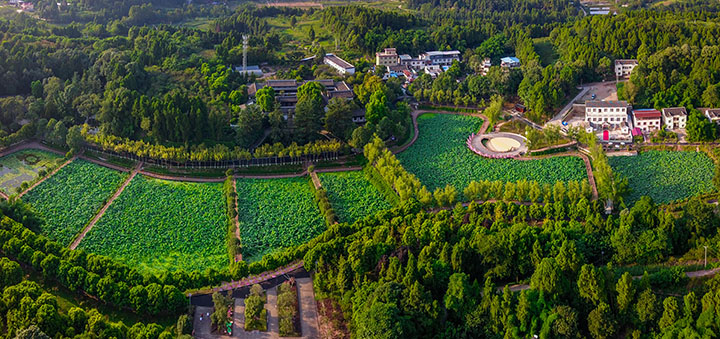 图1 旧居村航拍.jpg