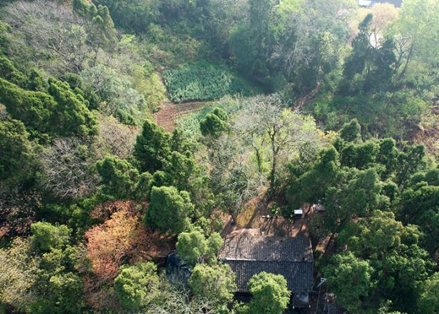 图5  林中一座砖瓦房是夏开桂夫妻住了四十多年的家。（3月28日拍摄）（无人机照片）.jpg