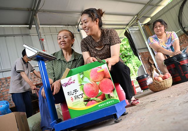 图5  当地农民将用于电商销售的脆桃进行称重.jpg