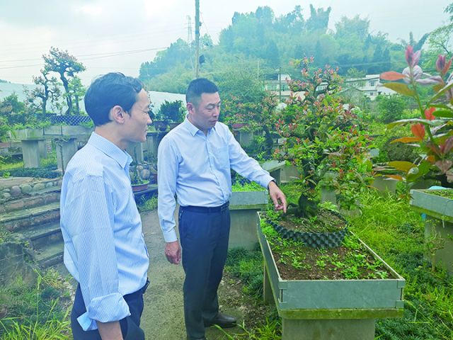 泸州农商银行党委书记、董事长王勇了解花卉市场种养情况.jpg