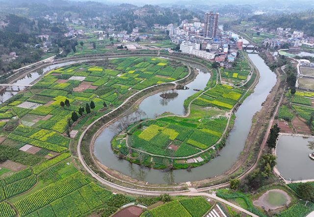 图1  2025年3月4日，四川省内江市东兴区杨家镇团结社区，渐次开放的油菜花与蜿蜒流淌的大清流河为乡村美颜增色添彩（无人机照片）。.JPG