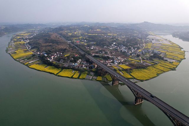 图1  2025年3月11日，俯瞰四川省内江市东兴区椑木镇建设村，油菜花田与河流、公路、民居等相映成景。.jpg