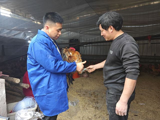 图3  唐明辉向养殖户传授养鸡经验 周倩摄.jpg