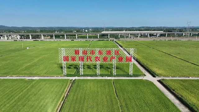 2助力天府粮仓建设.jpg