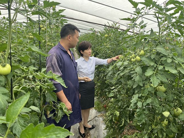 3下沉服务支持家庭农场开展大棚种植.jpg