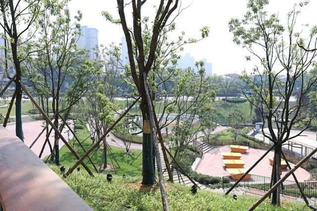 西城湿地公园一隅  周淼葭 摄.jpg