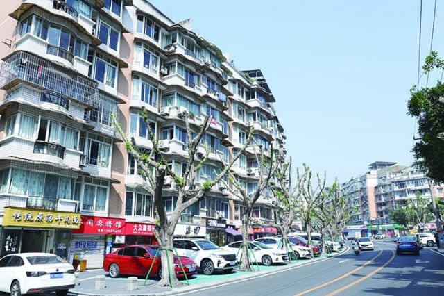 改造后的青杠林路  周淼葭 摄.jpg