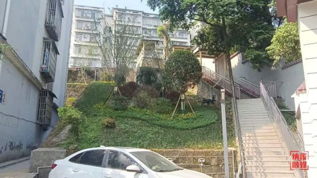 图3  森林小区护坡治理。  李梁文 摄.jpg