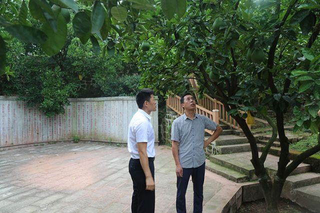 1“金融顾问”上门，让金融服务直达农户家中.jpg