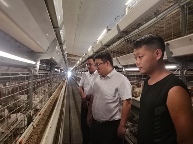 图片2.jpg
