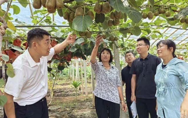 图2  科技特派员在蔬果基地指导种植（胡振兴 摄）.jpg