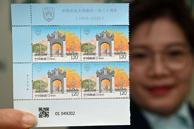 1760689836111761.jpg 2.jpg