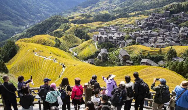 图1  10月21日，中外游客在龙脊梯田游览。（伍文悄 摄）.jpg