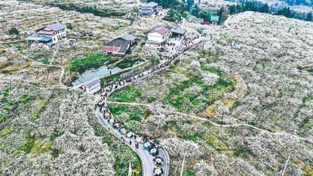 宣汉县庙安镇花果山  .jpg