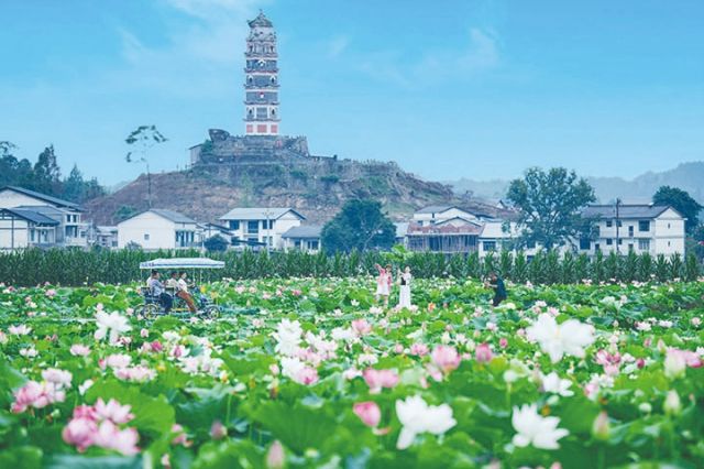 金山景区——莲花世界  陈人华 摄 .jpg