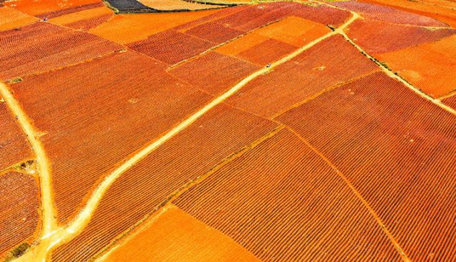 图2 田成方，渠相连，路相同，旱能灌，涝能排 （赵树龙 摄）.jpg