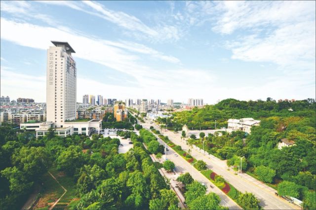 1764820070328400.jpg 内江市东兴区大千路风貌.jpg