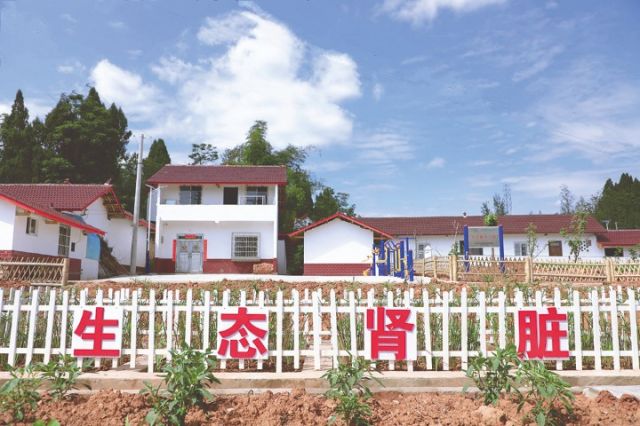 1764820110395302.jpg 火花村“生态肾脏”污水处理系统.jpg