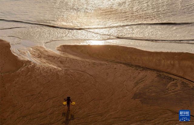 图5 12月3日，在霞浦县三沙镇东壁村，一名“渔模”在滩涂上行走。 拷贝.jpg