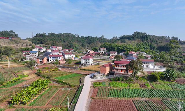 1765788958549010.jpg 图1 12月14日,在四川省内江市东兴区新江街道高寺社区,航拍乡村冬日美景。.jpg