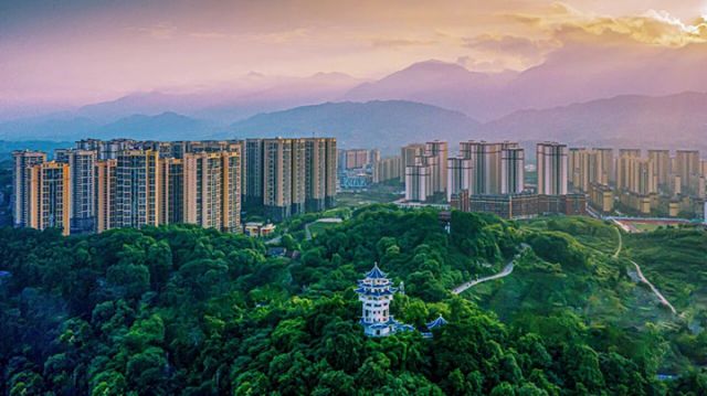 1767604147785950.jpg 图3.jpg