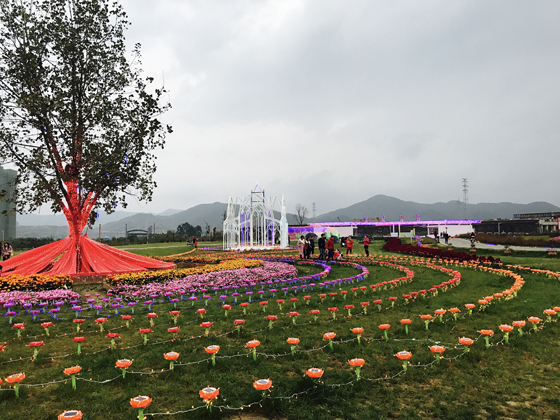 龙泉驿区北部示范片蔚然花海景区.jpg