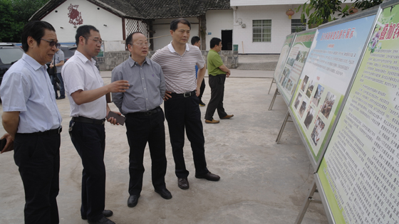 四川省政府参事，省县域经济学会会长张成明（左一），四川省社会科学院党委书记李后强教授（左三）在筠连县筠连镇五丰村考察叠加农村金融创新举措（卢锦根图）.JPG