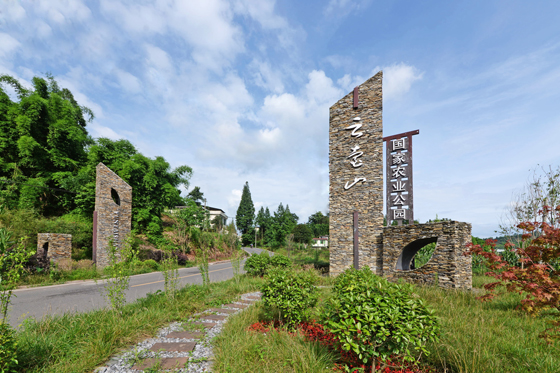 雨城区草坝镇茶旅核心区.JPG