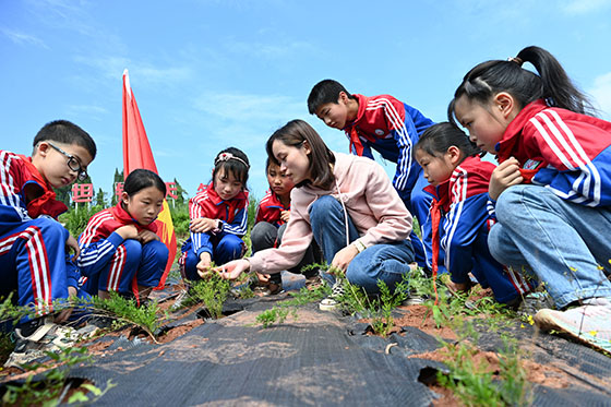 2平坦小学学生在天冬产业园区了解天冬的药用价值.jpg