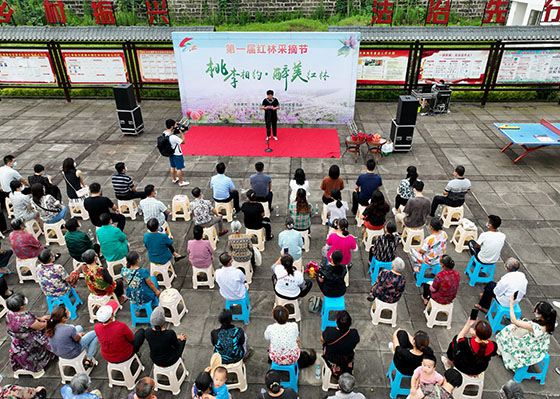 2)6月17日，当地农民举办采摘节推广生态桃李.jpg