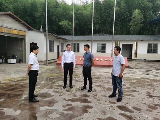 丽水陈雨图片