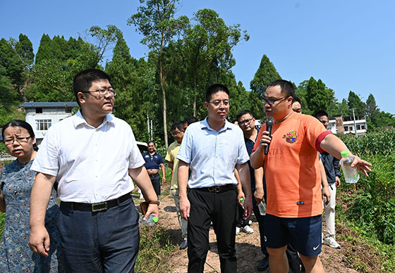 2专家、学者正在向当地党委政府有关人员介绍“生姜新栽培技术集成与应用研究”项目的相关情况.jpg